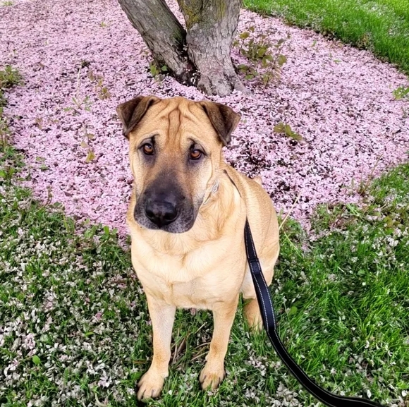 Welcome to my closet! - Picture 4 of 16